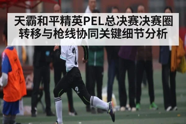 天霸和平精英PEL总决赛决赛圈转移与枪线协同关键细节分析（kaiyun）